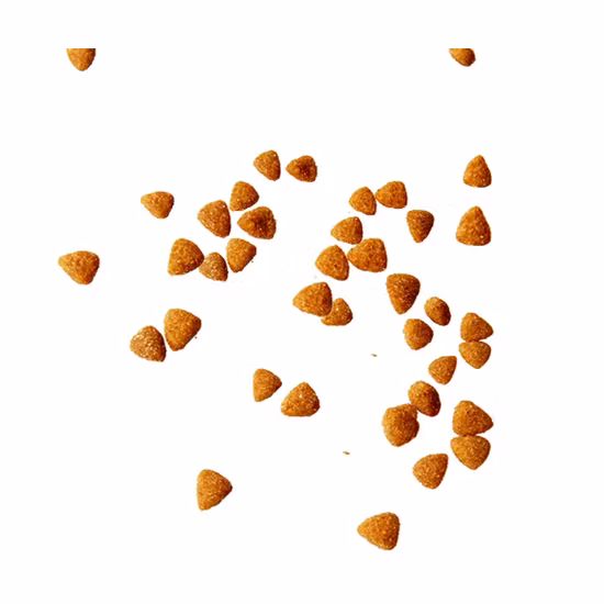 Крючок для вакуумной сублимационной сушки, корм для креветок, рыбный корм оптом