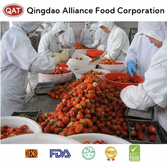 Надежное качество, здоровая пища, клубника сублимационной сушки с Brc HACCP, кошерная продукция