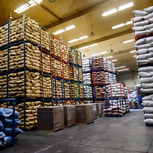 Высококачественный, популярный жареный чеснок